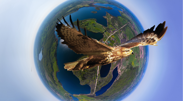 ОАО «Промагролизинг» возглавило рейтинг корпоративного управления в хозяйственных обществах с долей государства 2020 года